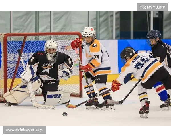 2021年冰球赛事,冰雪激情：2018年度冰球锦标赛全纪录之荣耀征程与传奇诞生