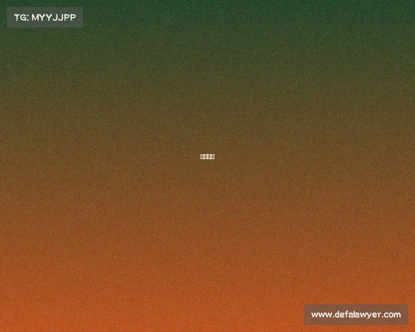 西安黑鲸 西安黑鲸